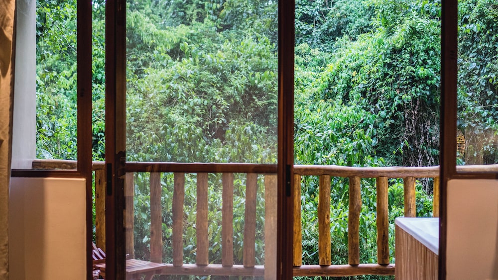 la aldea de la selva