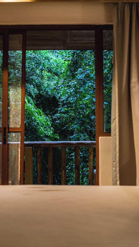 la aldea de la selva