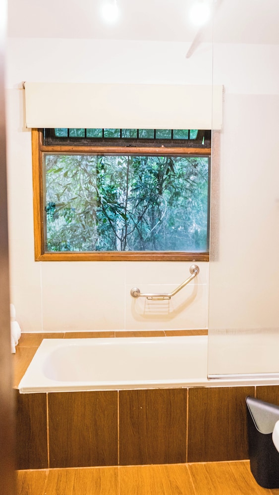 la aldea de la selva