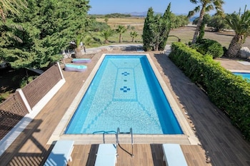 psalidi