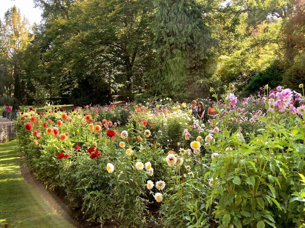 hotel ibis orleans centre gare