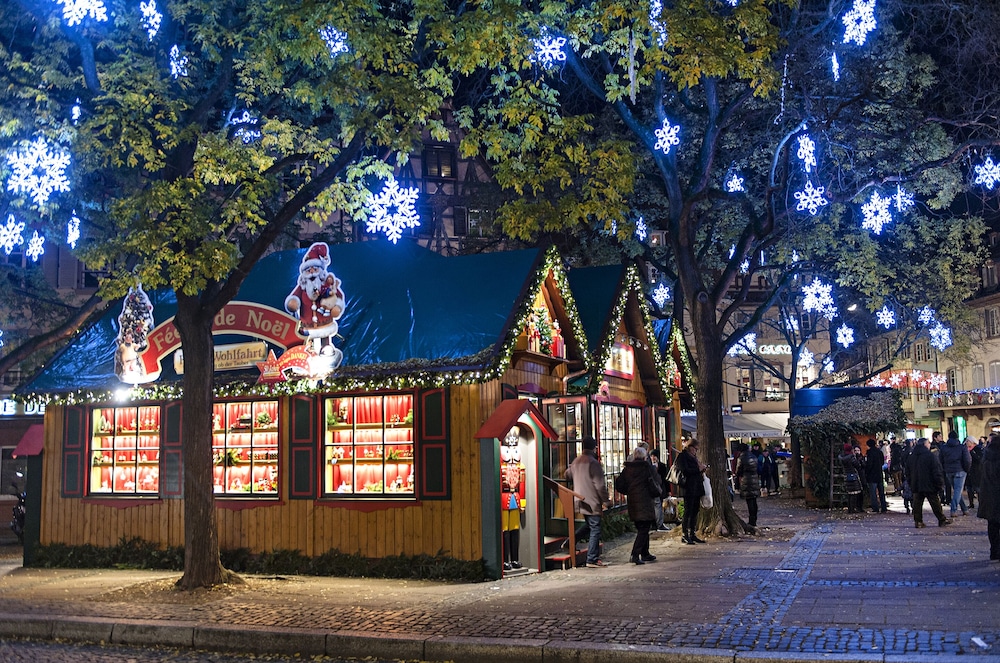 hotel ibis strasbourg sud la vigie