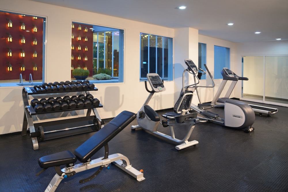 hs hotsson smart leon centro max