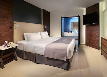 hs hotsson smart leon centro max