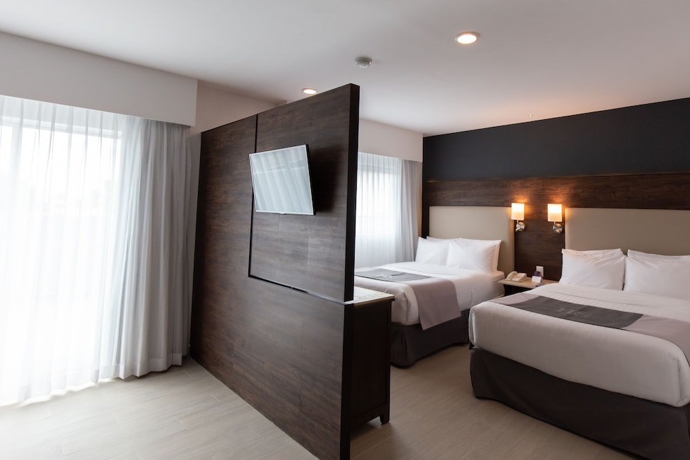 hs hotsson smart leon centro max