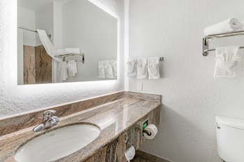 best western texas city i 45