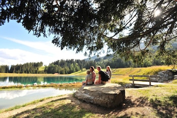 Hotel Alpina Parpan,Arosa>>Albula,3 star