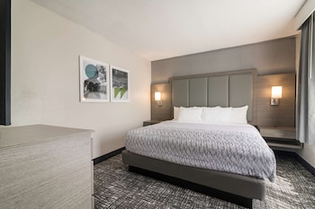 best western plymouth inn white mountains