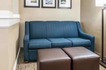 comfort inn and suites