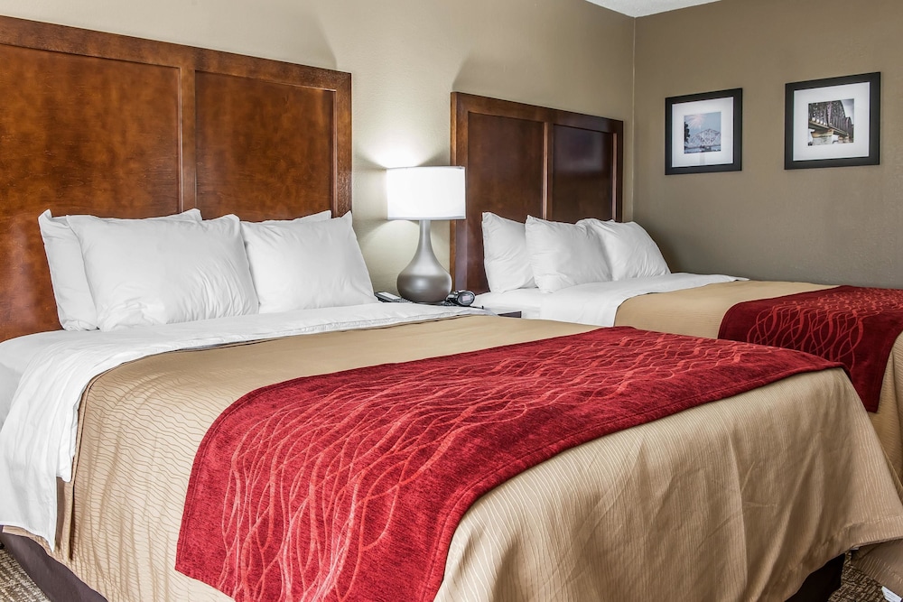 comfort inn and suites