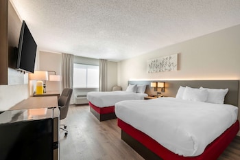 comfort inn and suites