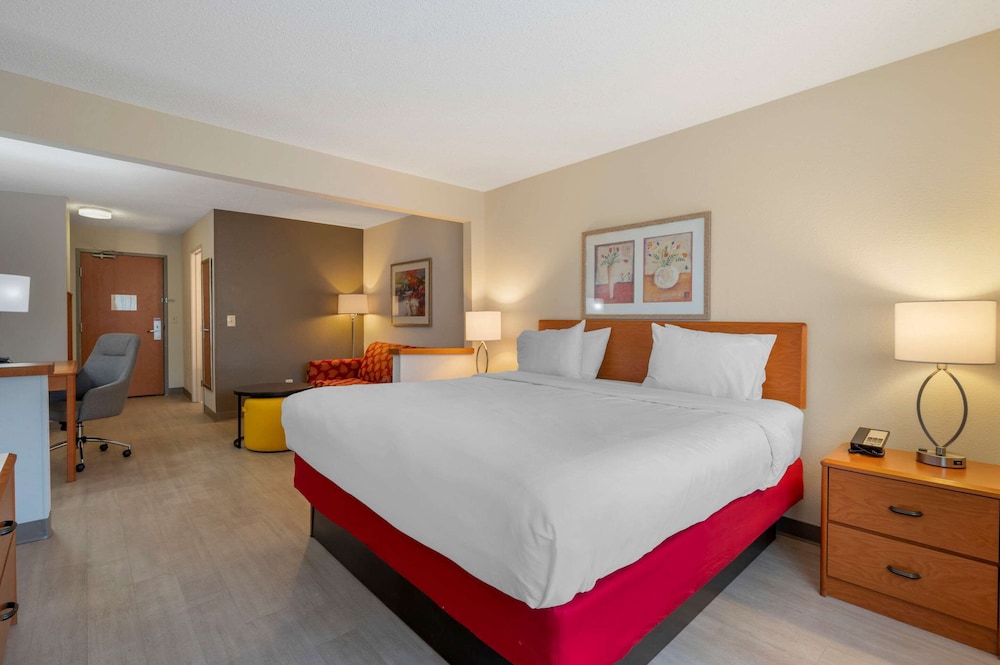 comfort inn and suites