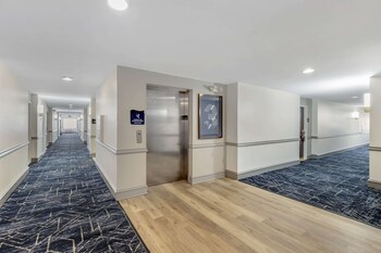 comfort inn and suites