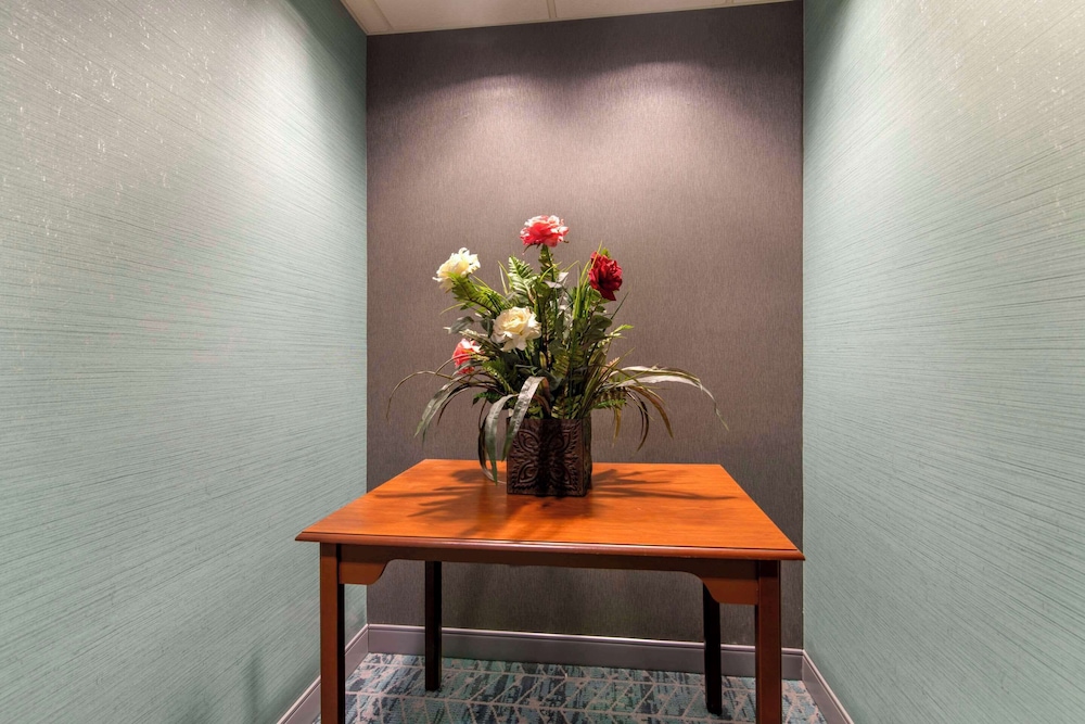 comfort inn and suites