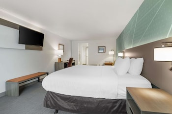 comfort inn and suites