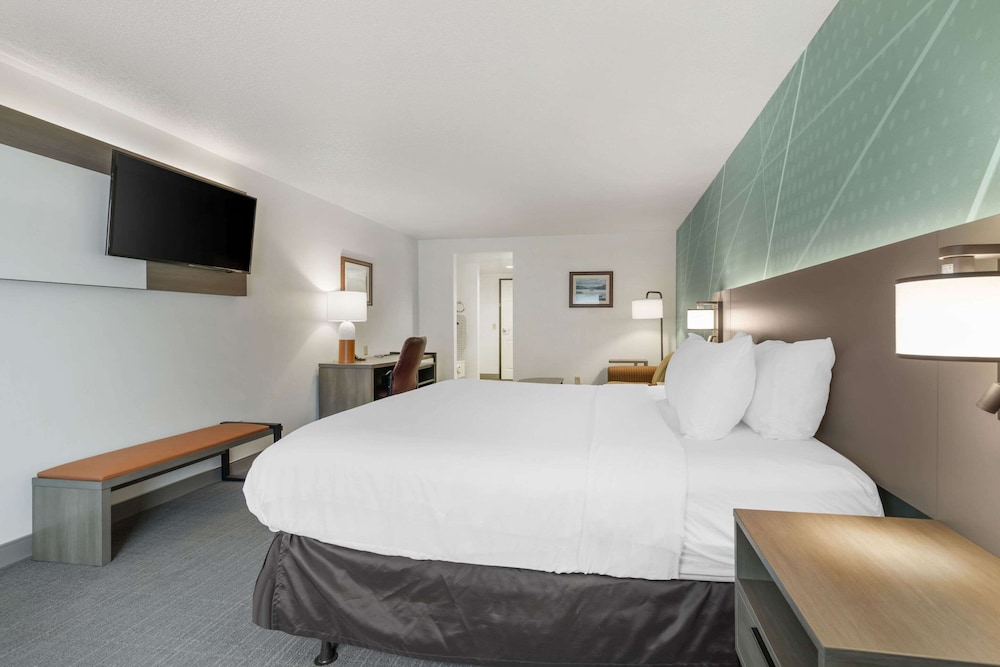 comfort inn and suites