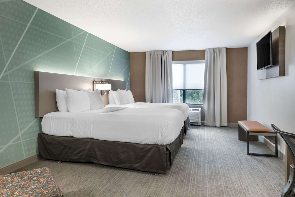 comfort inn and suites