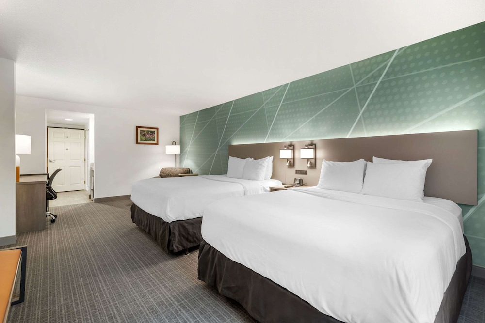 comfort inn and suites