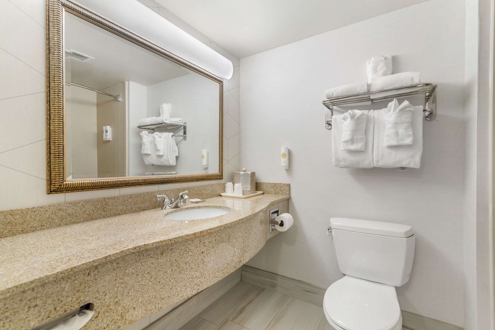 comfort inn and suites