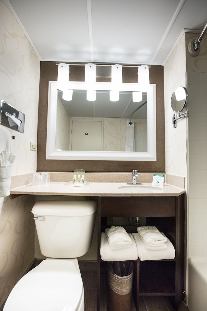 wyndham rochester downtown