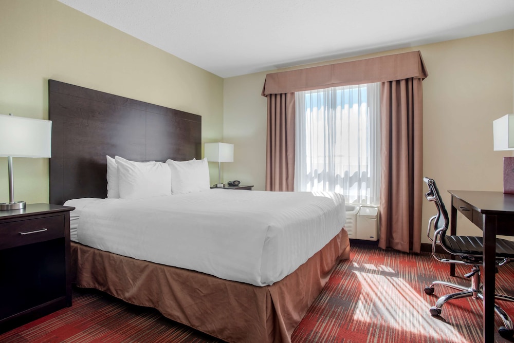 best western plus red deer inn and suites
