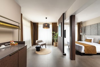 alp pasa hotel special class