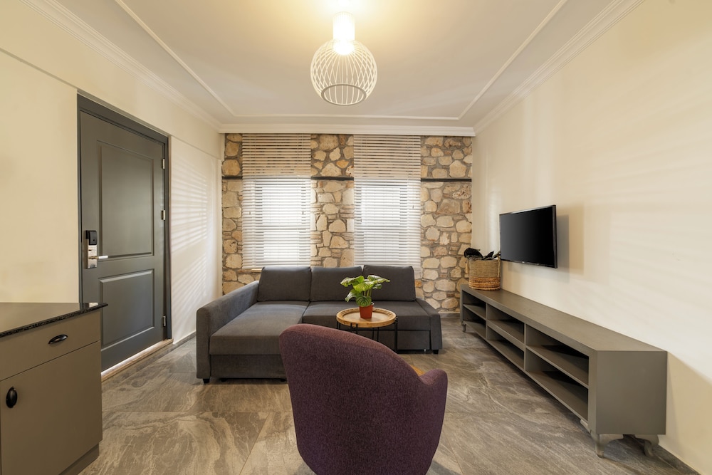alp pasa hotel special class