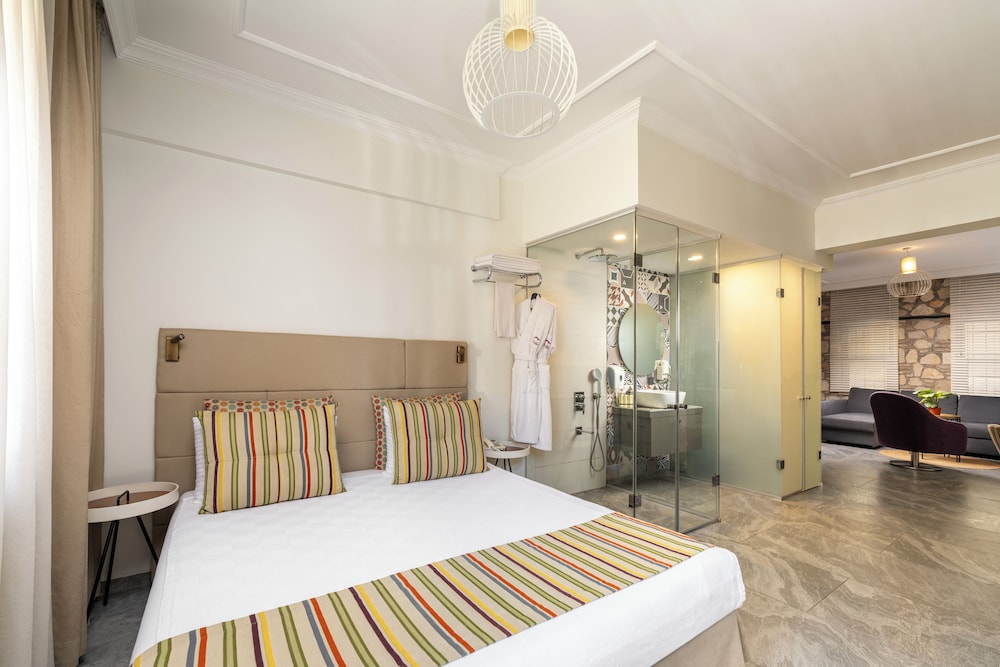 alp pasa hotel special class