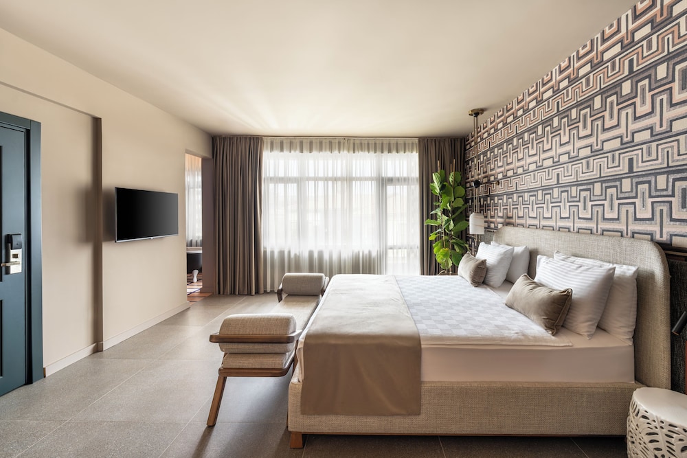 alp pasa hotel special class