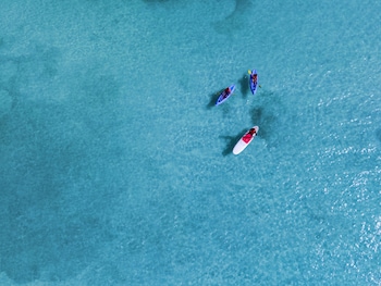 playa del carmen playacar