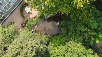 gartenhotel fettehenne