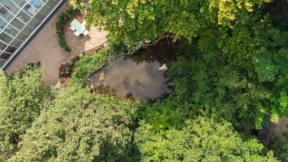 gartenhotel fettehenne