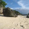 Dolphin House,Near White Beach Moalboal,5 star