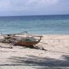 Dolphin House,Near White Beach Moalboal,5 star