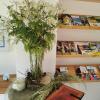 hotel sonne kirnbach