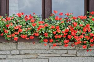 hotel baren guttannen