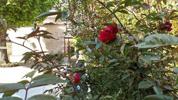 hotel le grand monarque