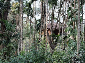 tranquil resort blusalzz collection wayanad