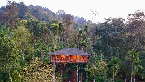 tranquil resort blusalzz collection wayanad