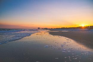 Island Vista Resort,Myrtle Beach>>Horry County,4 star
