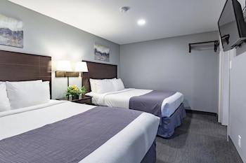 mt madison inn and suites