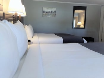 mt madison inn and suites