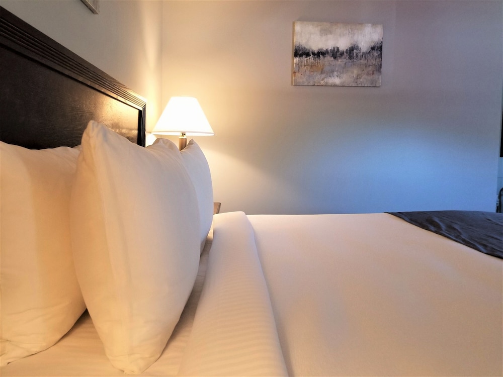 mt madison inn and suites