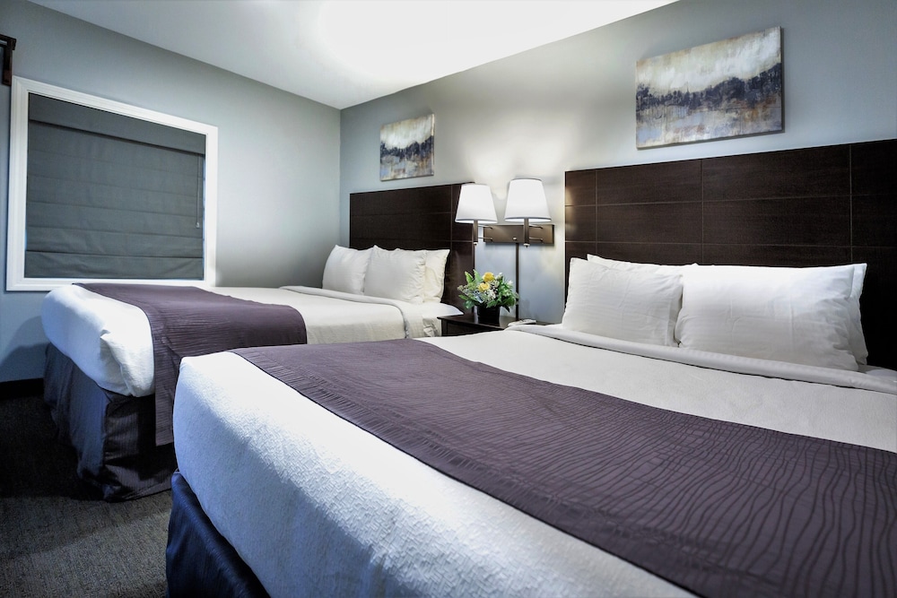 mt madison inn and suites