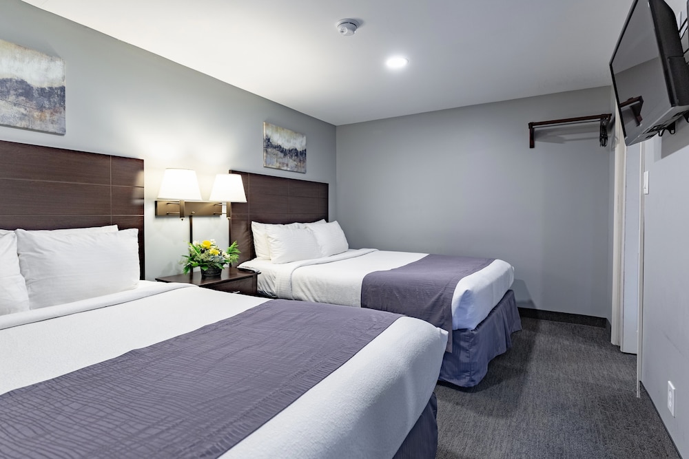 mt madison inn and suites