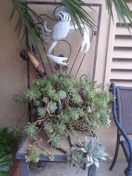 los gatos garden inn hotel