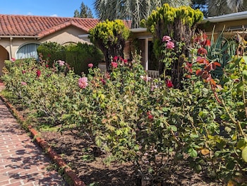 los gatos garden inn hotel