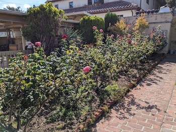 los gatos garden inn hotel