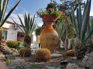 hotel park calitto