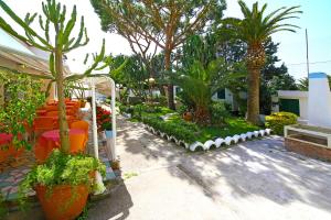 hotel park calitto
